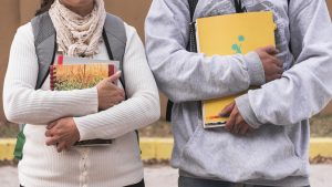 دراسات جدوى لصندوق التنمية الثقافى